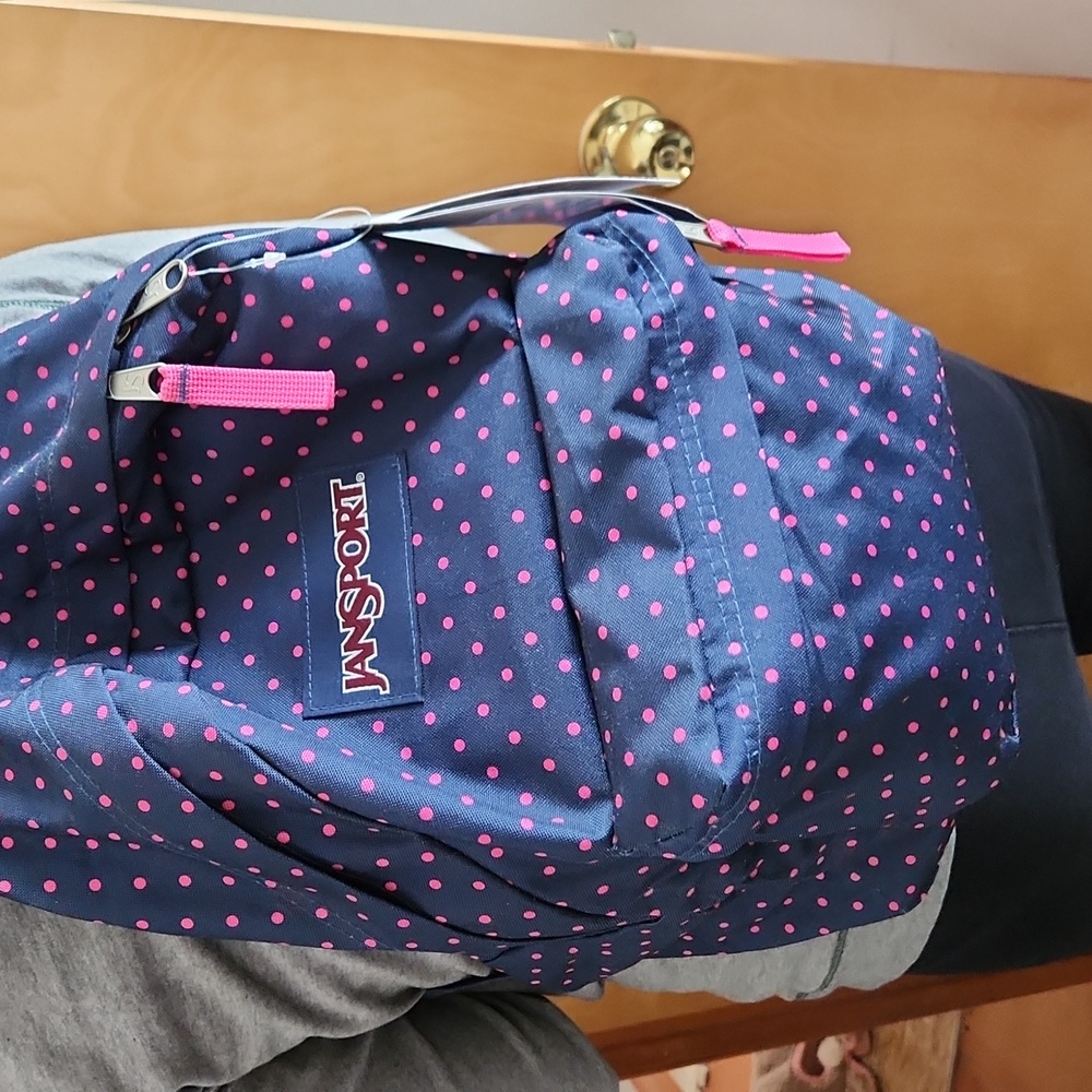 Jansport Pink Polkadot and Navy Backpack